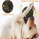 Dog Double Layer Chew Ball Toys