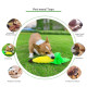 Fruit Vegetable Style Squeaky Toy for Dogs