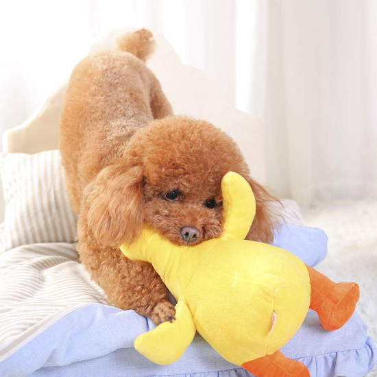 Dog Interactive Toys Duck