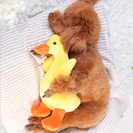 Dog Interactive Toys Duck