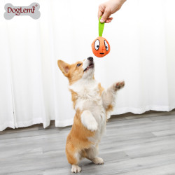 DOGLEMI DOG Slow Food Toy 3 In 1 Eggplant Set