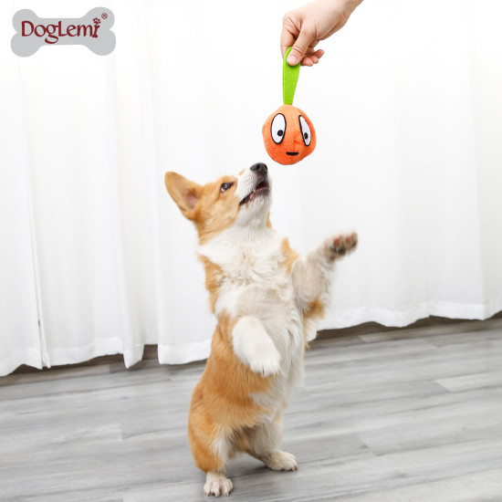 DOGLEMI DOG Slow Food Toy 3 In 1 Eggplant Set