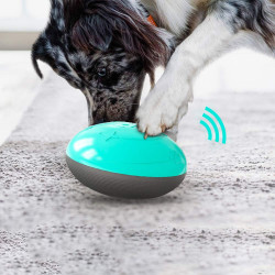 Dog Sounding Toy Chew Molar Ball