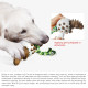 Dog Chew Toy Rubber Dinosaur Eggs