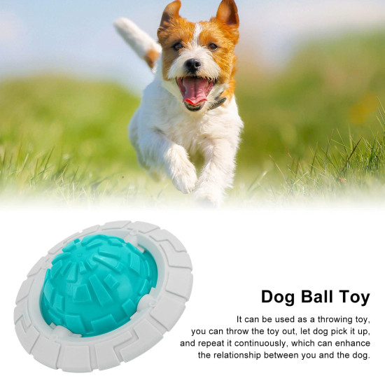 Dog Chew Toy Molar Dog Frisbee