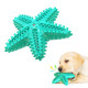 Dog Chew Toy Rubber Molar Starfish