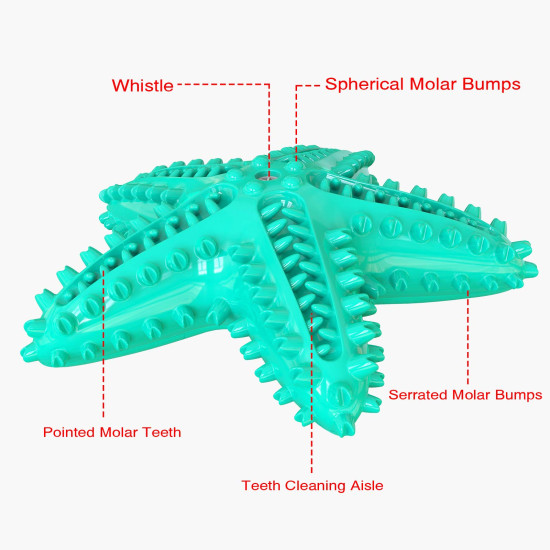 Dog Chew Toy Rubber Molar Starfish