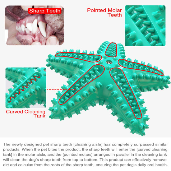 Dog Chew Toy Rubber Molar Starfish