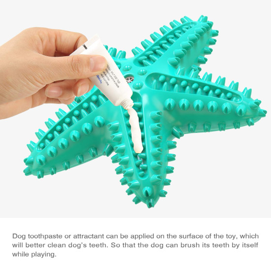 Dog Chew Toy Rubber Molar Starfish