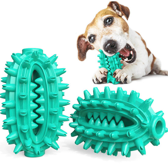 Dog Chew Toy Rubber Molar Cactus