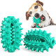 Dog Chew Toy Rubber Molar Cactus