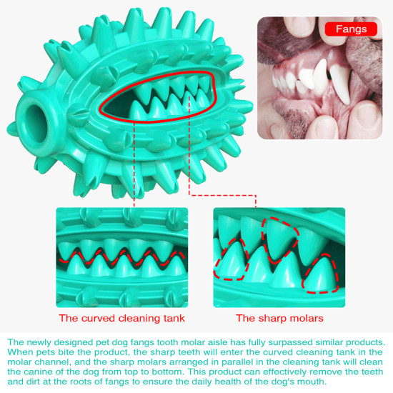 Dog Chew Toy Rubber Molar Cactus