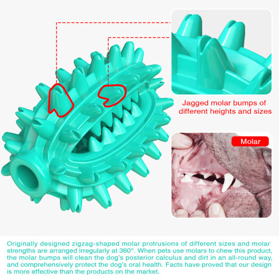 Dog Chew Toy Rubber Molar Cactus