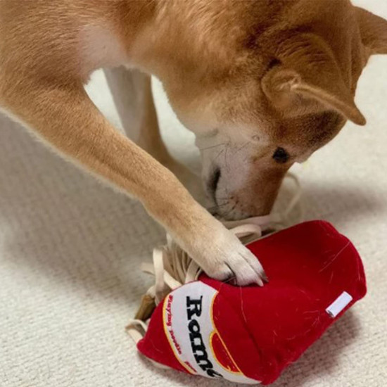 Dog Sniffing Chew Toy Ramen Cup