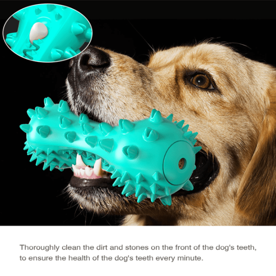 DOG Chew Toys Clean Training Dumbbells