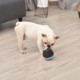 Dog Cat Slow Food Toy Tumbler Feeder