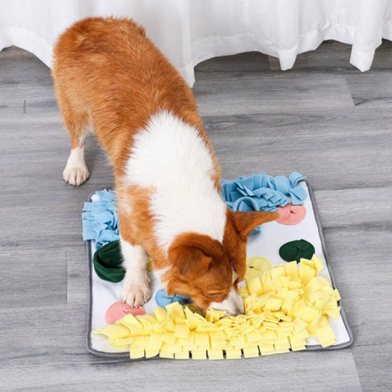 Slowing Feeding Training Dogs Snuffle Mat