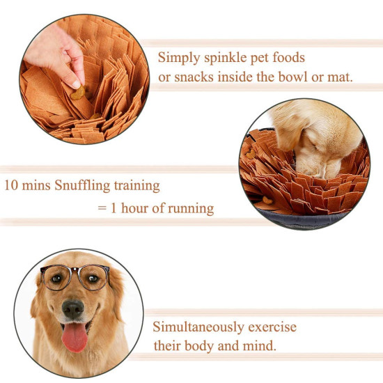 Dog Slow Feeding Training Foraging Mat