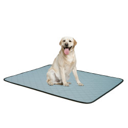 Dog Training Urine Pad