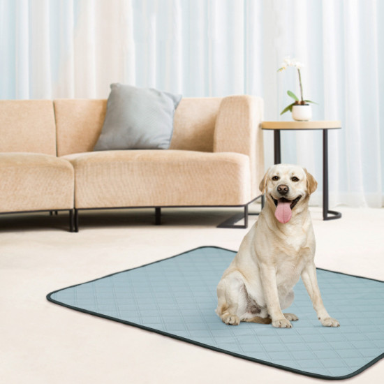 Dog Training Urine Pad