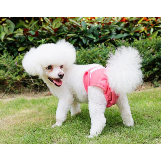 DOGLEMI Washable Reusable Female Dog Diapers