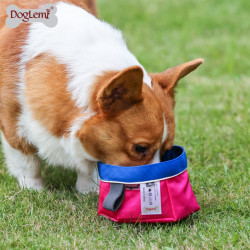 DOGLEMI Outdoor Folding Dog Slow Feeder Bowls