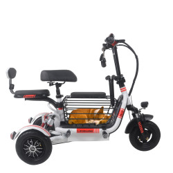 Folding Electric Tricycles For Traveling With Pets