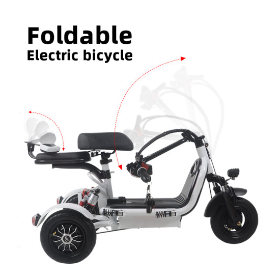 Folding Electric Tricycles For Traveling With Pets