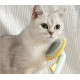 Cat Dog UFO Disc Massage Hair Removal Brush