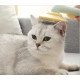 Cat Dog UFO Disc Massage Hair Removal Brush