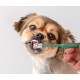 Cat Dog Rotary Oral Cleaning Toothbrush 