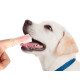 Cat Dog Finger Silicone Toothbrush