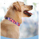 QQPETS Durability Adjustable Dog Cat Collars