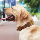 Adjustable Dog Tactical Collar