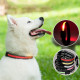 LED Solar Charging Glowing Light Up Dog Collars