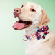 Ethnic Flower Dog Cat Collar