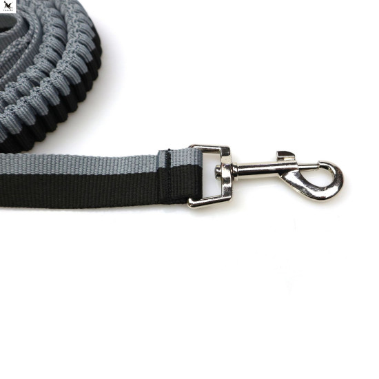 TAILUP Explosion-proof Dog Leashes