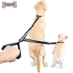 DOGLEMI Double Explosion-proof Dog Training Leashs