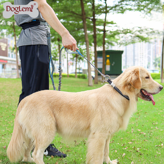 DOGLEMI Explosion-proof Dog Walking Leash