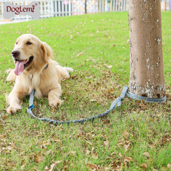 DOGLEMI Explosion-proof Dog Walking Leash