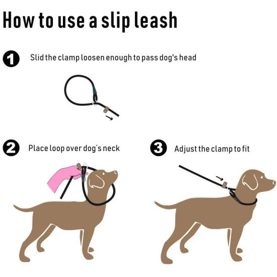 Slip Solid Rope Dog Leash