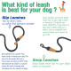 Slip Solid Rope Dog Leash