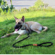 Slip Solid Rope Dog Leash