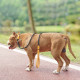 Reflective Non-Slip Lead Dog Leash