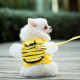 Honeybee Style Dog Mesh Harnesses