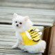 Honeybee Style Dog Mesh Harnesses