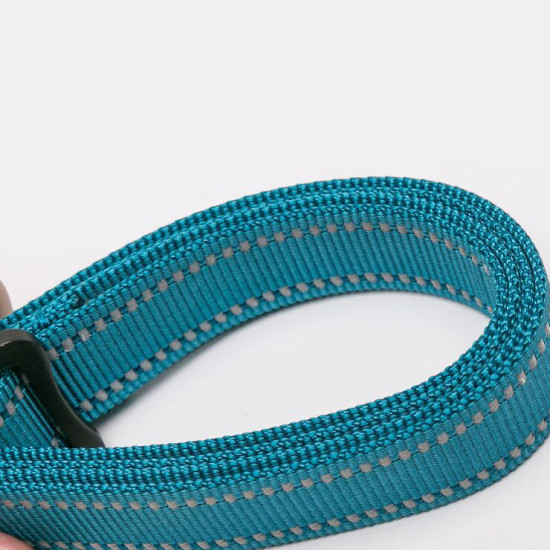 True Love Adjustable Multi-Function Dog Leash