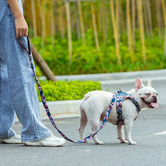 True Love Floral Style Heavy Duty Dog Leash