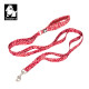 True Love Floral Style Heavy Duty Dog Leash