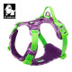 True Love Adjustable No Pull Dog Harness